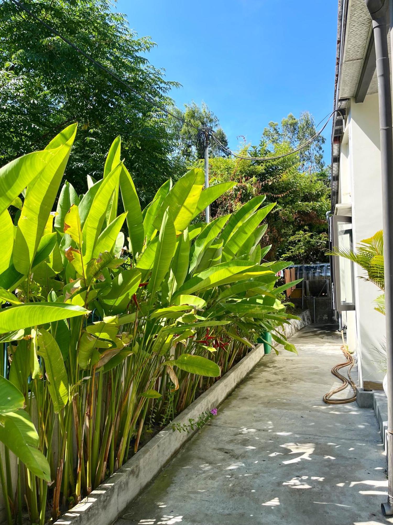 Crest House Beachside - Three-Bedroom Private House On Cham Island Hoi An Tân Hiệ المظهر الخارجي الصورة